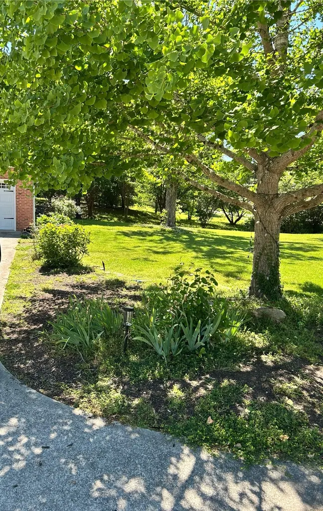 Concrete &amp; Driveways project by Chicanos Construction in Knoxville, Tennessee