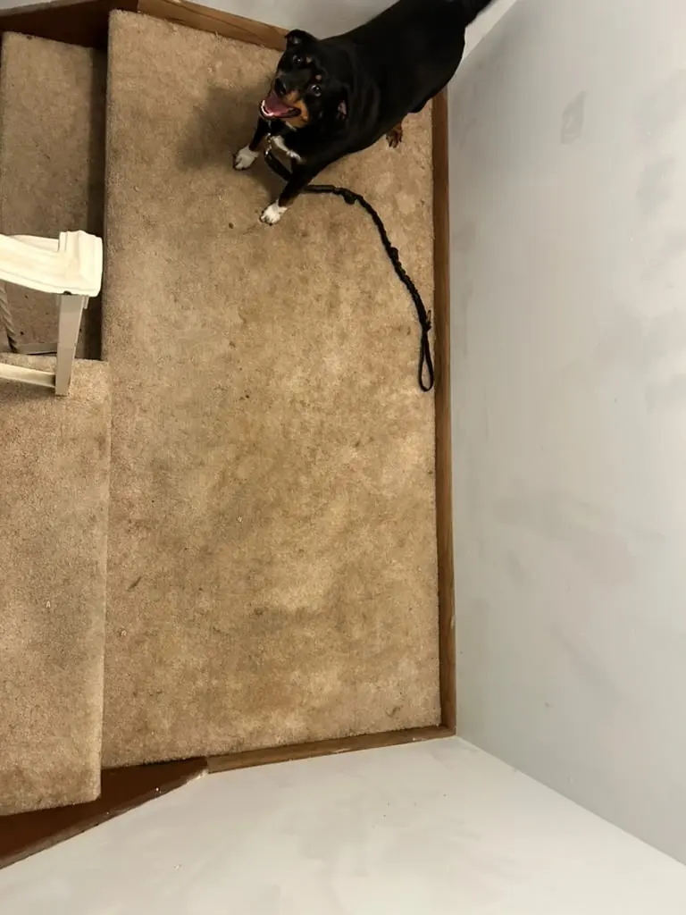 Old carpet at the landing before the flooring job in Knoxville, Tennessee